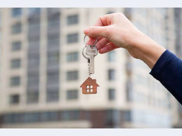 ����� ���������� ������ ������� � �� ���� �� 20% � �������� ���������